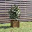 Plantenbak 31x31x31 cm massief grenenhout honingbruin - AllerleiShop