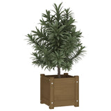 Plantenbakken 2 st 31x31x31 cm massief grenenhout honingbruin - AllerleiShop