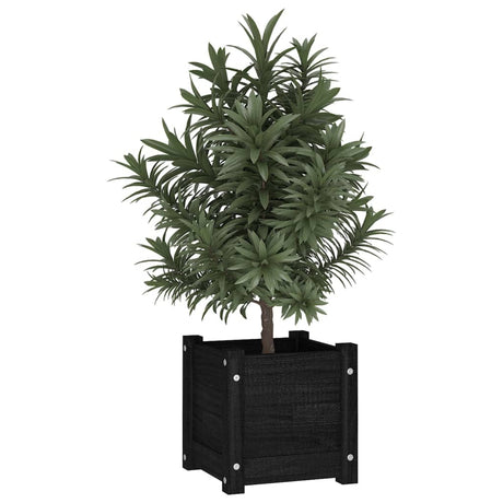 Plantenbak 31x31x31 cm massief grenenhout zwart - AllerleiShop