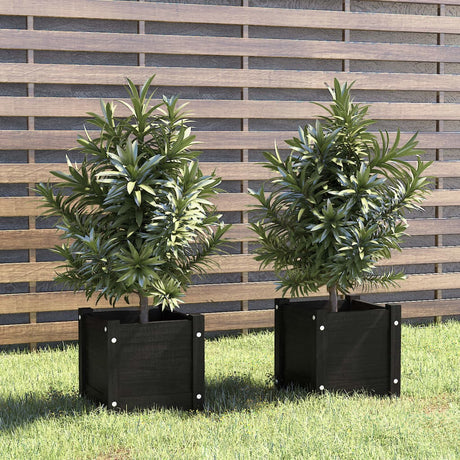 Plantenbakken 2 st 31x31x31 cm massief grenenhout zwart - AllerleiShop