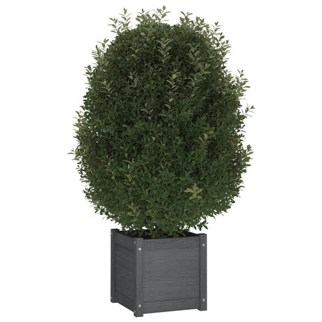 Plantenbak 40x40x40 cm massief grenenhout grijs - AllerleiShop