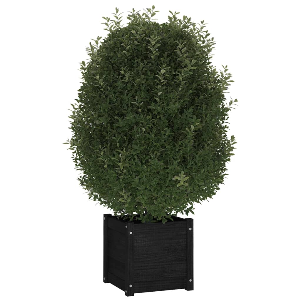 Plantenbak 40x40x40 cm massief grenenhout zwart - AllerleiShop