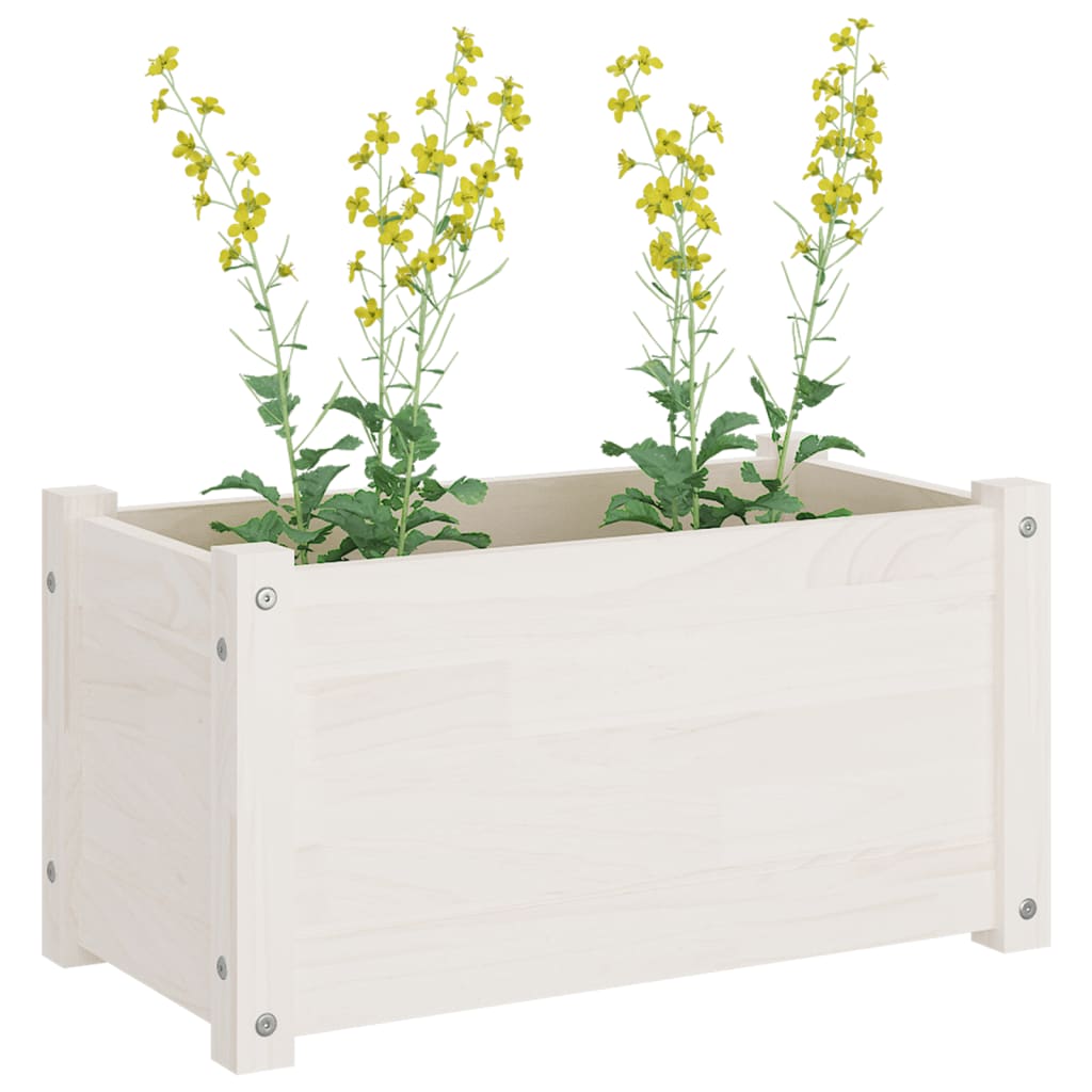 Plantenbak 60x31x31 cm massief grenenhout wit - AllerleiShop