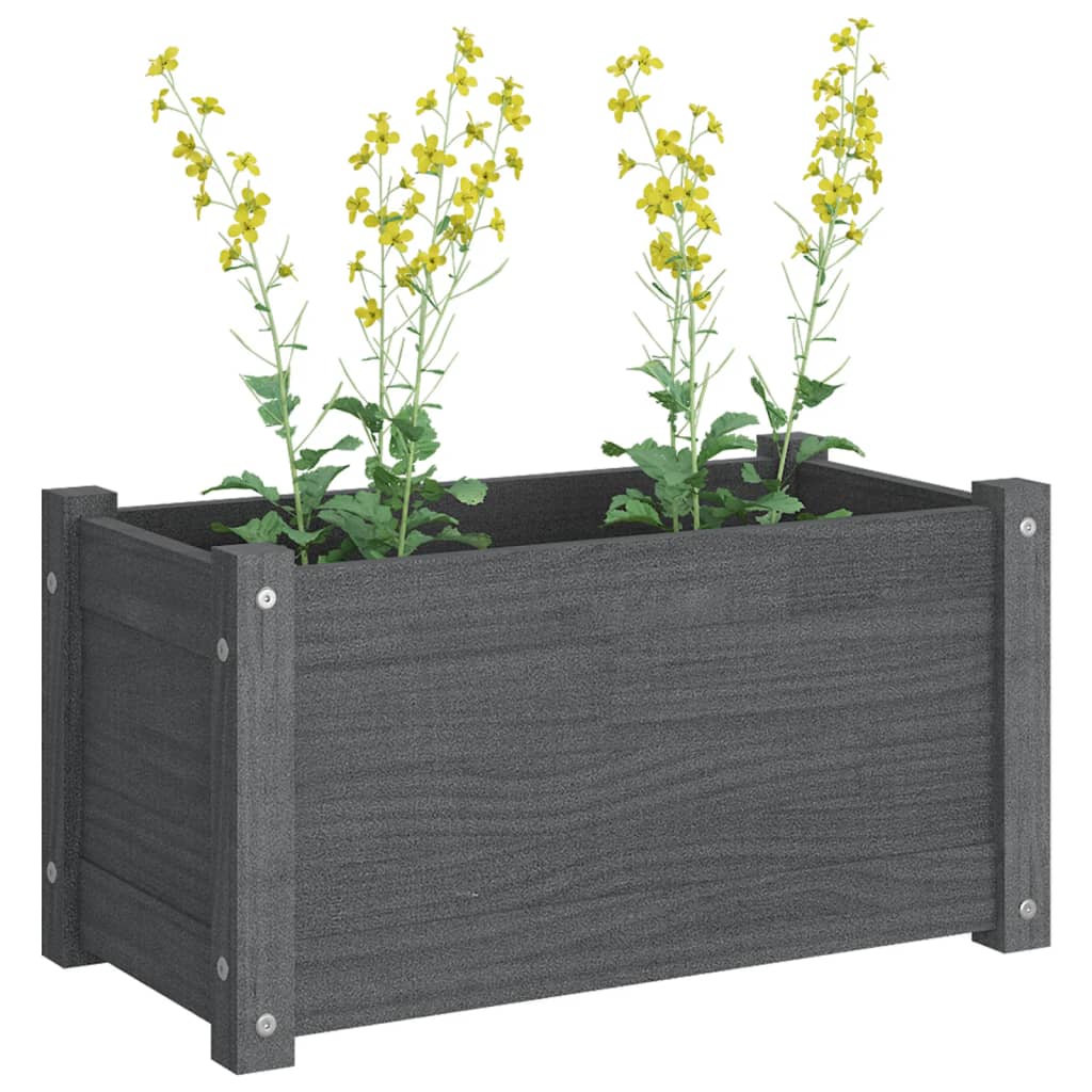 Plantenbak 60x31x31 cm massief grenenhout grijs - AllerleiShop