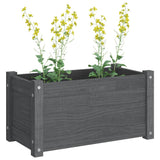 Plantenbak 60x31x31 cm massief grenenhout grijs - AllerleiShop