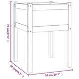 Plantenbakken 2 st 50x50x70 cm massief grenenhout - AllerleiShop