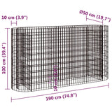 Gabion plantenbak verhoogd 190x50x100 cm gegalvaniseerd ijzer