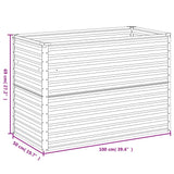 Plantenbak verhoogd 100x50x69 cm cortenstaal