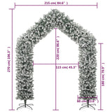 Kerstboog met sneeuwvlokken 270 cm - AllerleiShop