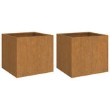 Plantenbakken 2 st 32x30x29 cm cortenstaal - AllerleiShop