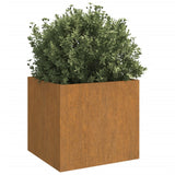 Plantenbak 42x40x39 cm cortenstaal - AllerleiShop