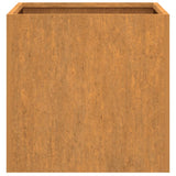 Plantenbak 42x40x39 cm cortenstaal - AllerleiShop