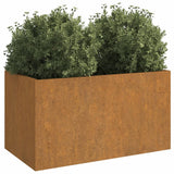 Plantenbak 62x30x29 cm cortenstaal - AllerleiShop