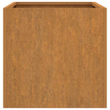 Plantenbak 62x40x39 cm cortenstaal - AllerleiShop