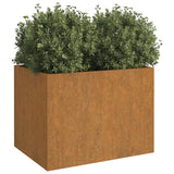 Plantenbak 62x47x46 cm cortenstaal - AllerleiShop