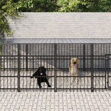 Hondenkennel voor buiten met dak 16,89 m² staal - AllerleiShop