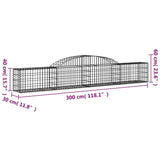 Schanskorven 25 st gewelfd 300x30x40/60 cm ijzer