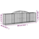 Schanskorven 11 st gewelfd 300x50x80/100 cm ijzer