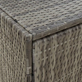 Tuinkast 100x55,5x80 cm poly rattan grijs - AllerleiShop