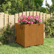 Plantenbak met poten roestig 49x47x50 cm cortenstaal - AllerleiShop