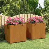 Plantenbakken met poten 2 st roestig 49x47x50 cm cortenstaal - AllerleiShop