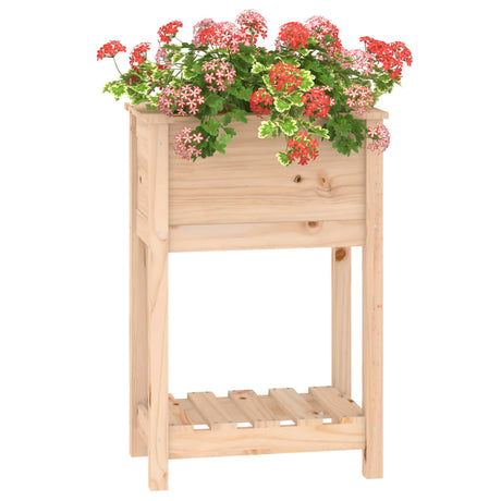 Plantenbak met schap 54x34,5x81 cm massief grenenhout - AllerleiShop