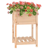 Plantenbak met schap 54x54x81 cm massief grenenhout - AllerleiShop