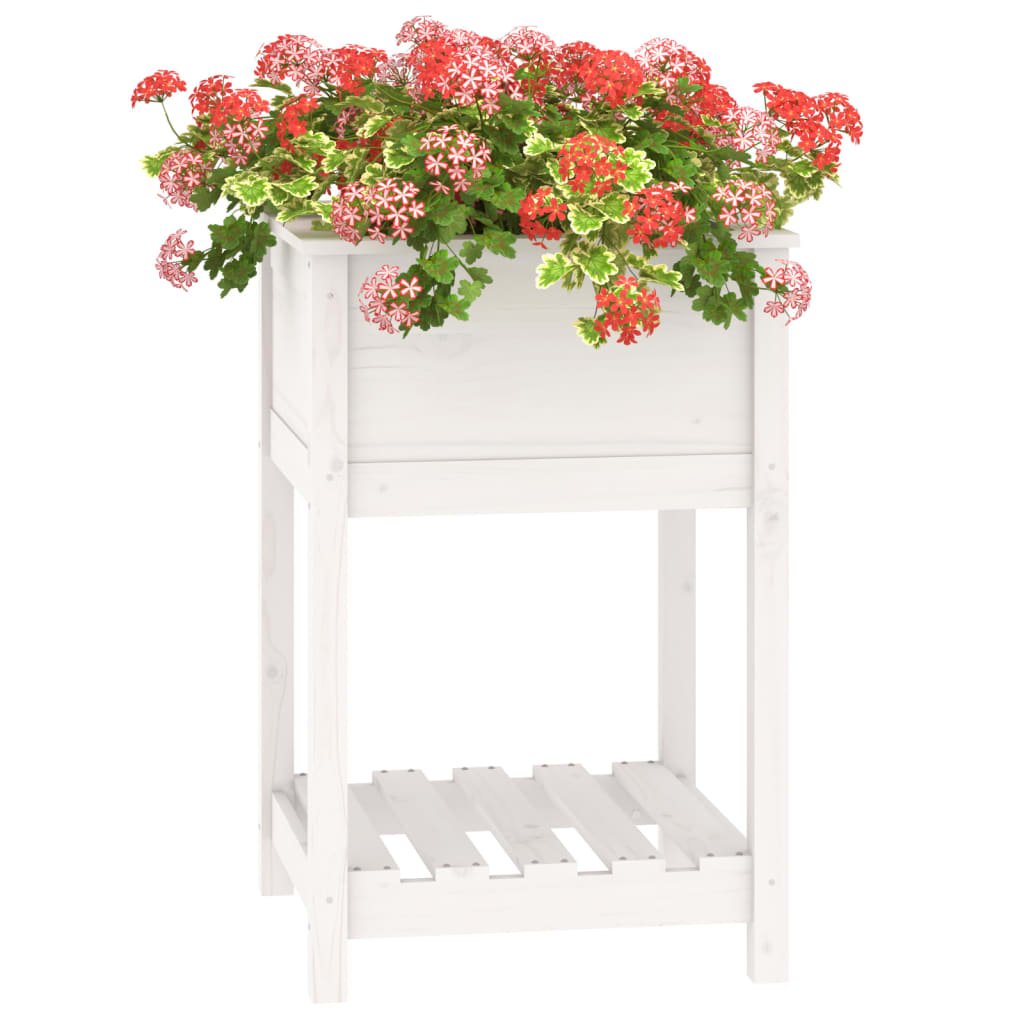 Plantenbak met schap 54x54x81 cm massief grenenhout wit - AllerleiShop