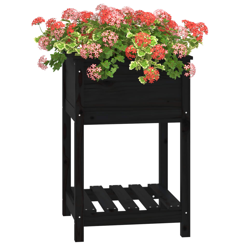 Plantenbak met schap 54x54x81 cm massief grenenhout zwart - AllerleiShop