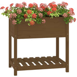 Plantenbak met schap 82,5x54x81 cm grenenhout honingbruin - AllerleiShop