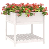 Plantenbak met schap 82,5x82,5x81 cm massief grenenhout wit - AllerleiShop