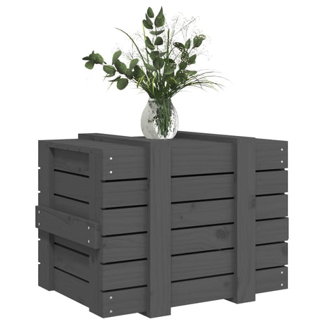 Opbergbox 58x40,5x42 cm massief grenenhout grijs - AllerleiShop