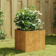 Plantenbak 40x41x40 cm cortenstaal - AllerleiShop