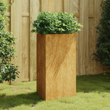 Plantenbak 50x43x75 cm cortenstaal - AllerleiShop