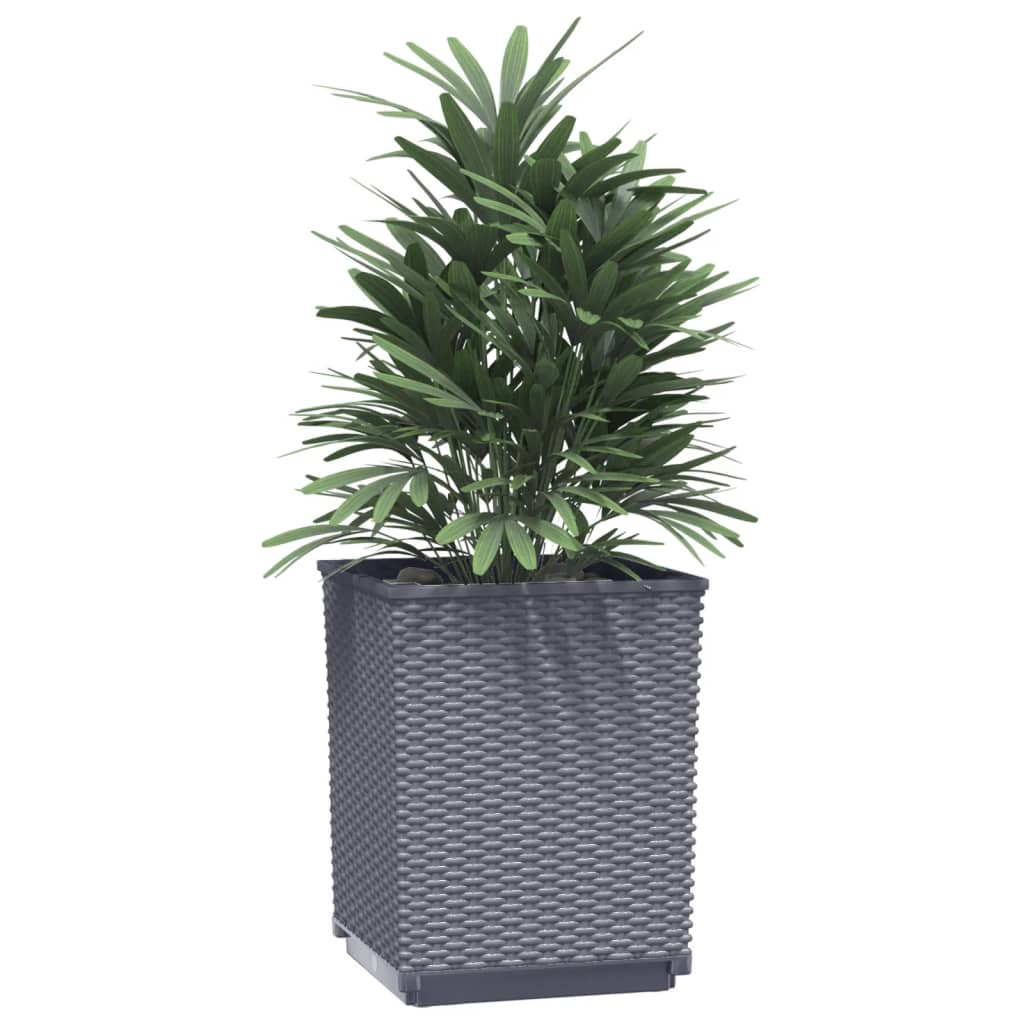 Plantenbakken 2 st 30x30x37 cm polypropeen donkergrijs - AllerleiShop