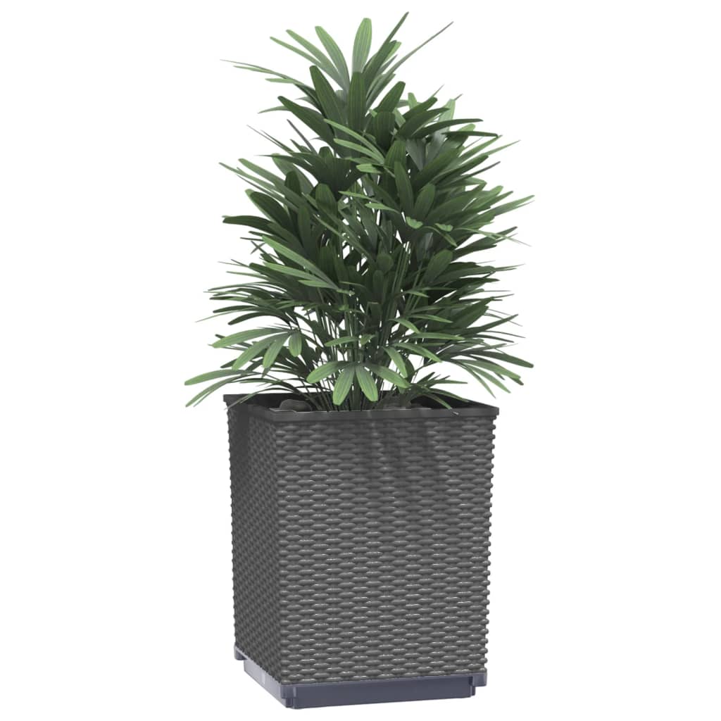 Plantenbakken 2 st 30x30x37 cm polypropeen zwart - AllerleiShop