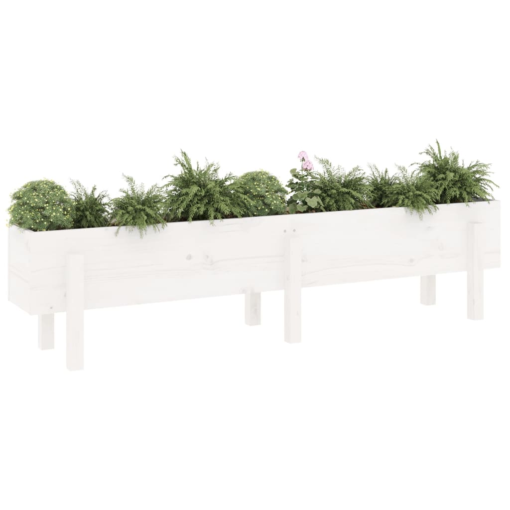 Plantenbak verhoogd 160x30x38 cm massief grenenhout wit - AllerleiShop