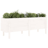 Plantenbak verhoogd 160x50x57 cm massief grenenhout wit - AllerleiShop