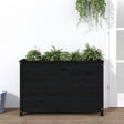 Plantenbak verhoogd 119,5x40x78 cm massief grenenhout zwart - AllerleiShop