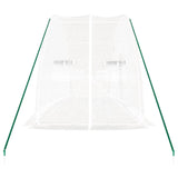 Tuinkas met stalen frame 12 m² 6x2x2,85 m - AllerleiShop