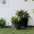 Plantenbak uitneembare bak rattan-look 15/15,3 L PP antraciet - AllerleiShop