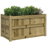 Plantenbakken 2 st cm geïmpregneerd hout