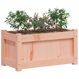 Plantenbak 60x31x31 cm massief douglashout