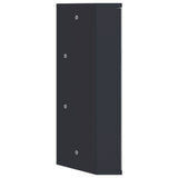 Badkamerkast met spiegel 30x24x60 cm grijs - AllerleiShop