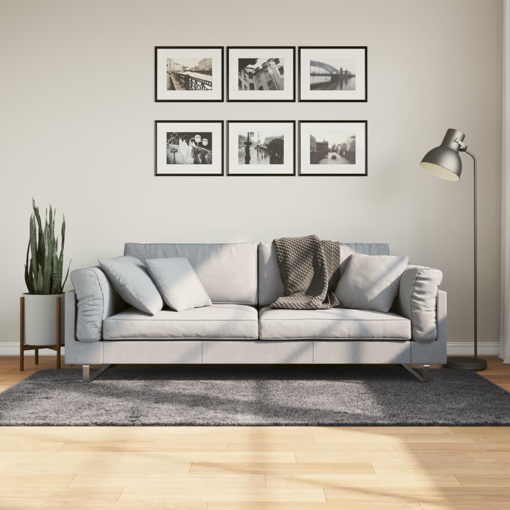 Vloerkleed HUARTE laagpolig zacht wasbaar 100x200 cm antraciet - AllerleiShop