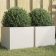 Plantenbakken 2 st 32x30x29 cm staal wit - AllerleiShop