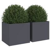 Plantenbakken 2 st 32x30x29 cm staal antracietkleurig