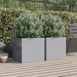 Plantenbakken 2 st 49x47x46 cm gegalvaniseerd staal zilverkleur - AllerleiShop