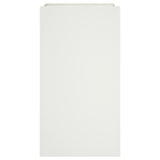 Plantenbak 42x38x75 cm staal wit - AllerleiShop