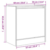 Schoenenkast 60x34x63,5 cm bewerkt hout zwart